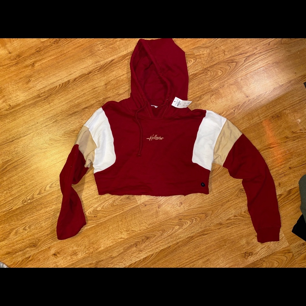 NWT hollister crop hoodie